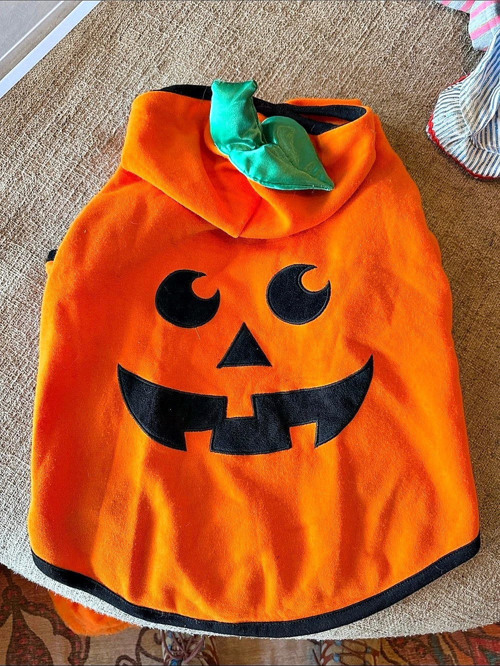 Frisco Jack O' Lantern Pumpkin Dog & Cat Hoodie Costume